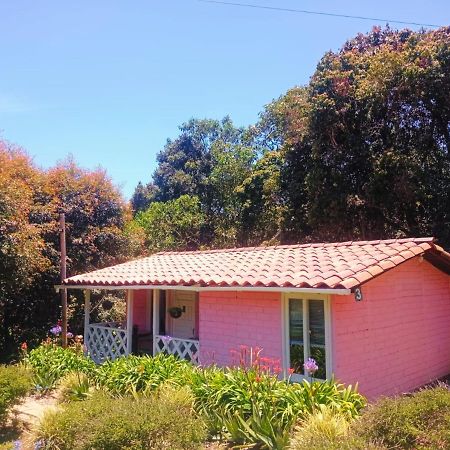 Hospedaje Santaelena -Chalets De Montana- 圣埃伦娜 外观 照片