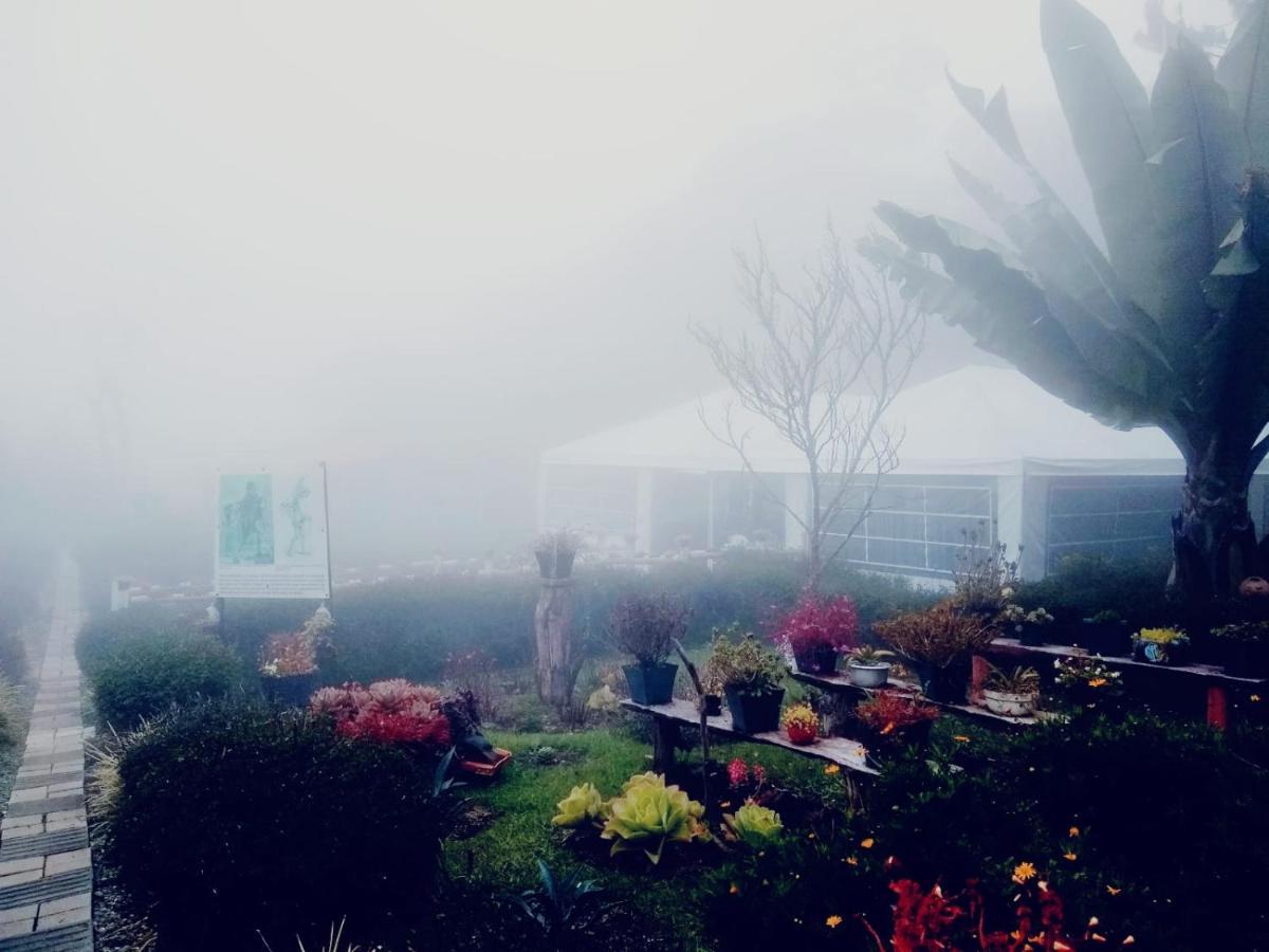 Hospedaje Santaelena -Chalets De Montana- 圣埃伦娜 外观 照片