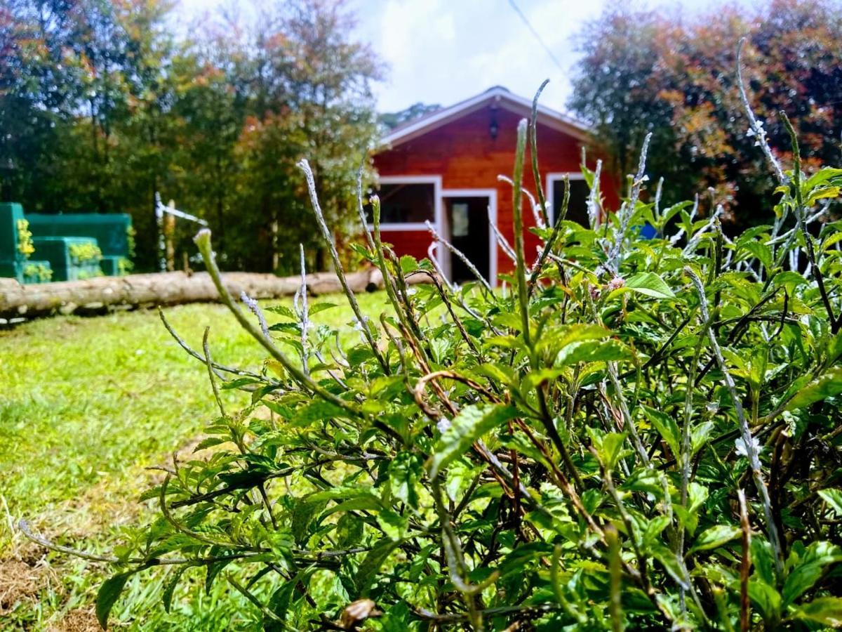Hospedaje Santaelena -Chalets De Montana- 圣埃伦娜 外观 照片