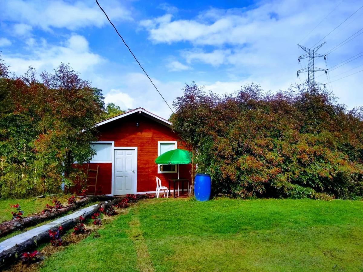 Hospedaje Santaelena -Chalets De Montana- 圣埃伦娜 外观 照片
