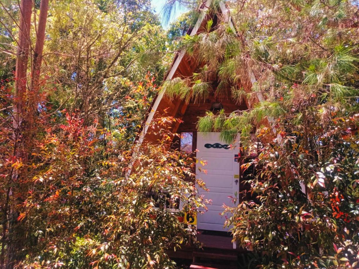 Hospedaje Santaelena -Chalets De Montana- 圣埃伦娜 外观 照片