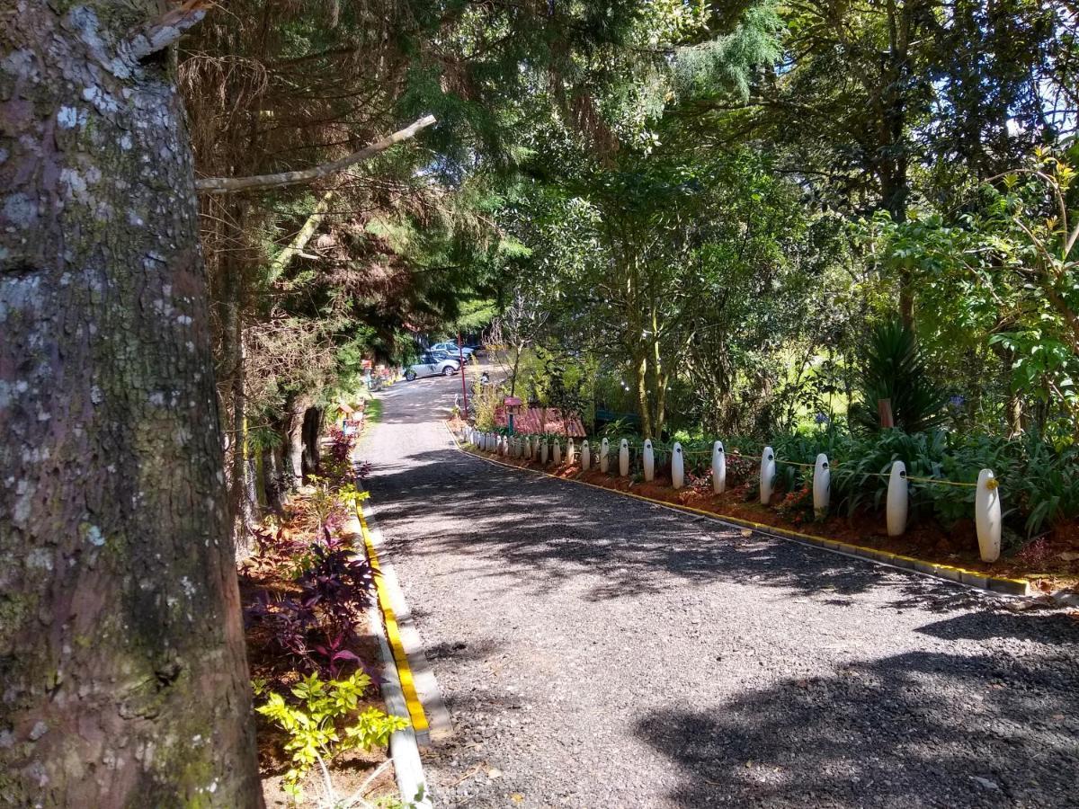 Hospedaje Santaelena -Chalets De Montana- 圣埃伦娜 外观 照片
